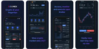 什么是BitMEX?BitMEX交易所的特点详解