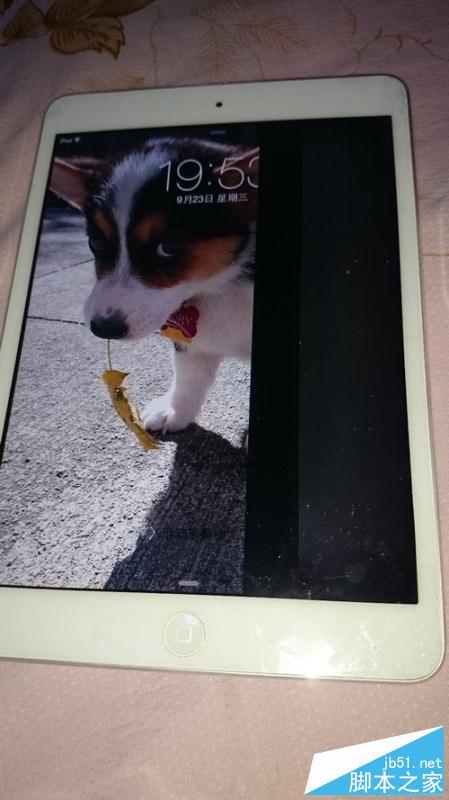 为ipadmini更换显示屏