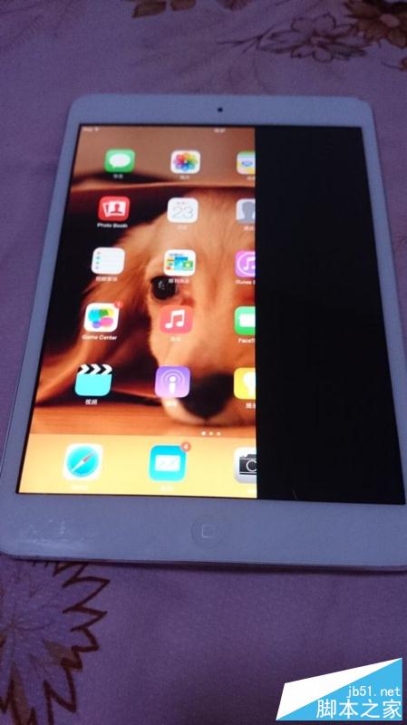 为ipadmini更换显示屏