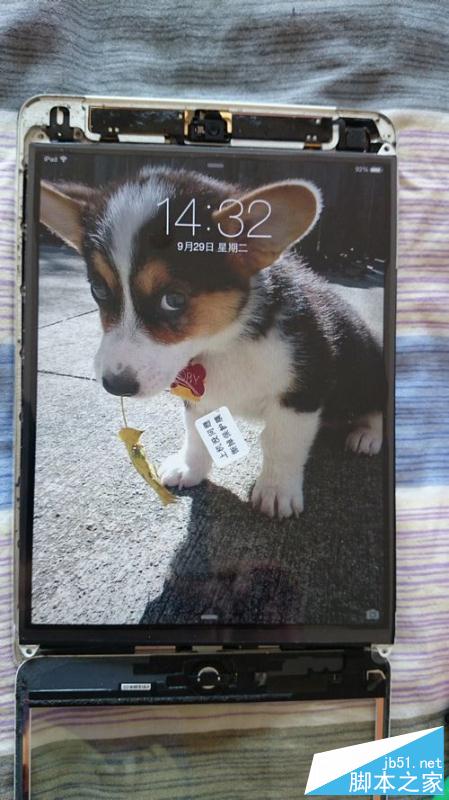 为ipadmini更换显示屏