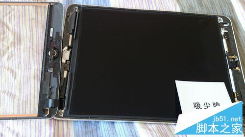 为ipadmini更换显示屏