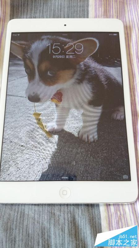 为ipadmini更换显示屏