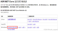 .Net8.0 WebApi发布到IIS详细步骤