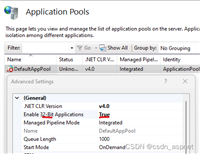 .NET8.0发布到IIS的实现步骤