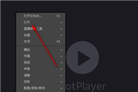 PotPlayer如何自定义采集器分辨率 PotPlayer自定义采集器分辨率的方法