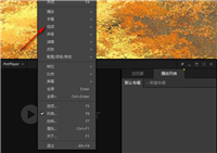 PotPlayer播放器如何录屏 PotPlayer播放器录屏功能使用方法