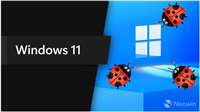 Win11更新补丁KB5012643出现Bug导致DirectX 9应用游戏崩溃解决方法