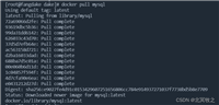Docker安装MySQL及授权远程访问的详细教程