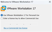 VMware Workstation Pro 17.5.2 解决NAT服务CPU高温和占用过高的问题(含下载)