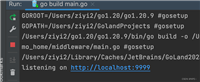 Golang使用原生http实现中间件的代码详解