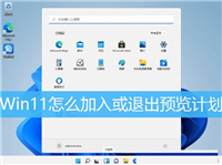 Win11怎么加入或退出预览版计划 ?