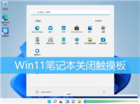Win11触摸板怎么禁用 ?Win11笔记本关闭触摸板方法