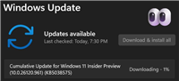Win11 Dev 26120.961 预览版更新补丁KB5038575发布(附更新介绍)