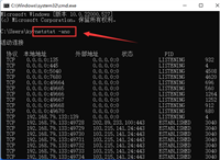 Win11怎么查找指定端口信息 Win11查找指定端口信息方法