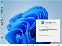 怎么将Win11专业版转到Win11LTSC企业版 Win11专业版转到Win11企业版图文教程