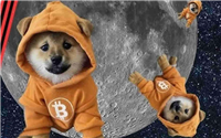 符文代币DOG币是什么?DOG币有前景吗?