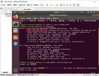Linux和windows文件互传的两种方案