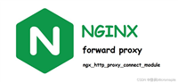 详解如何在Nginx中配置正向代理以及整合Proxy插件