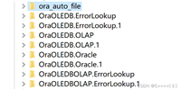 Oracle 19c数据库卸载重装步骤教程