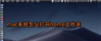 mac怎么打开home文件夹? mac打开home文件夹的两种方法