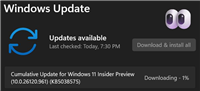Win11 Dev 26120.961 预览版发布:微软应用商店升级支付体验