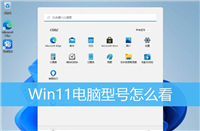 Win11系统的电脑怎么查看型号? Win11系统查看电脑型号的技巧
