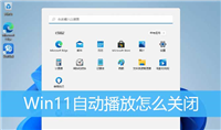 Win11如何关闭自动播放? Win11禁止自动播放功能的设置方法