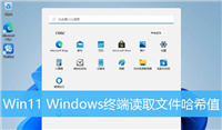 Win11怎么获取文件的Hash值? Windows终端读取文件哈希值的技巧