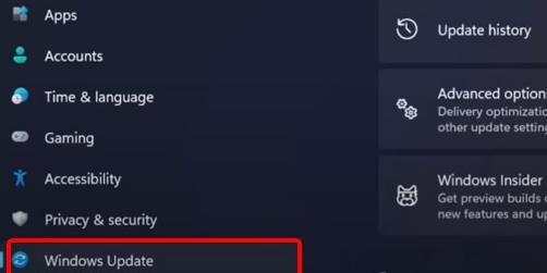 win11指纹解锁设置不了
