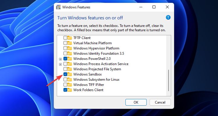 windows沙盒无法连接网络