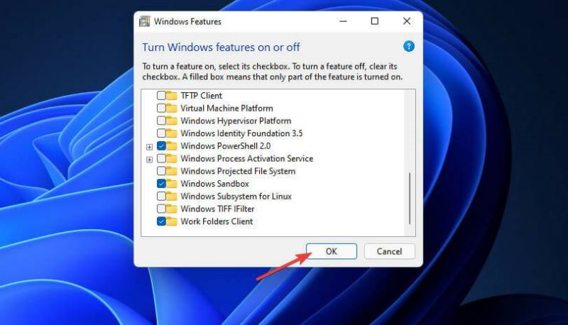 windows沙盒无法连接网络