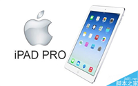 ipad pro是什么意思?为啥叫ipad pro?