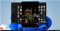 Win11/10 新增功能"Peek 快速查看"? Win11打开Peek 快速查看的技巧