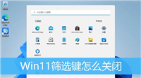 Win11筛选键导致键盘失灵怎么解决? Win11关闭筛选键的技巧