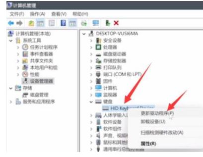 win11键盘无法输入怎么回事