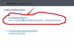 win11键盘无法输入怎么回事