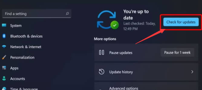 win11怎么更新显卡驱动?win11系统更新显卡驱动的四种方法
