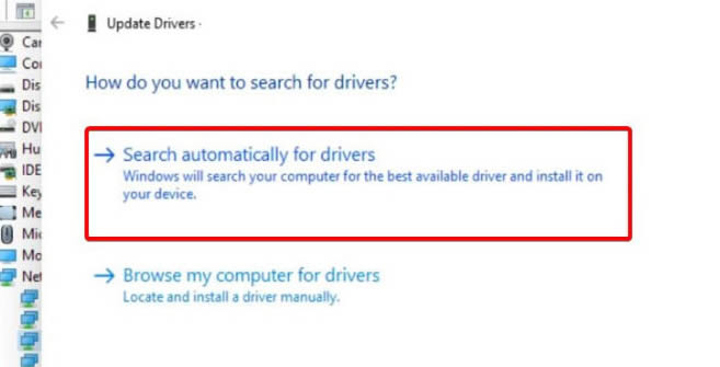 win11怎么更新显卡驱动?win11系统更新显卡驱动的四种方法