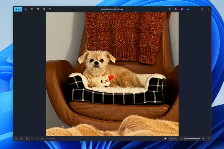 微软 win11 照片更新:查看器加载速度快 2.1 倍、新滑块可 10%-800% 动态缩放图片