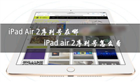 iPad Air 2序列号在哪里？iPad air2序列号查看方法图文介绍 