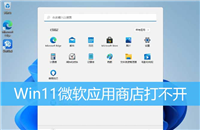 Win11应用商店打开闪退怎么解决? win11应用商店打不开的多种解决办法