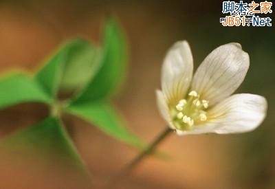 ipadmini3 ipadair2 iphone6plus