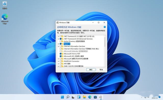 win11安装google play