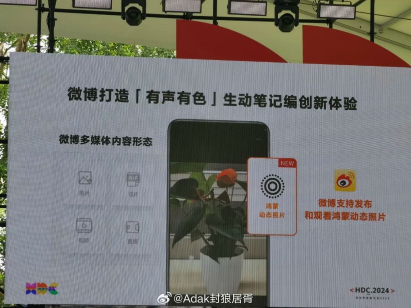 支持发布 / 观看,微博适配华为鸿蒙 harmonyos next 系统动态照片