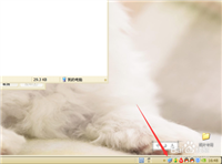 查看自己电脑 IP 所有方法汇总
