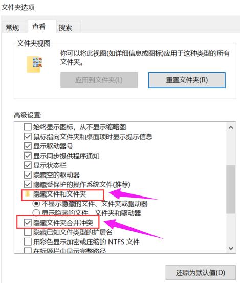 win11系统文件夹选项在哪?win11系统文件夹选项打开方法