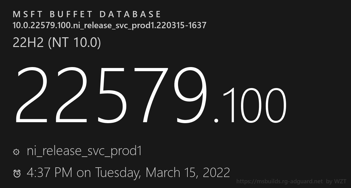 win11 dev预览版22579.100
