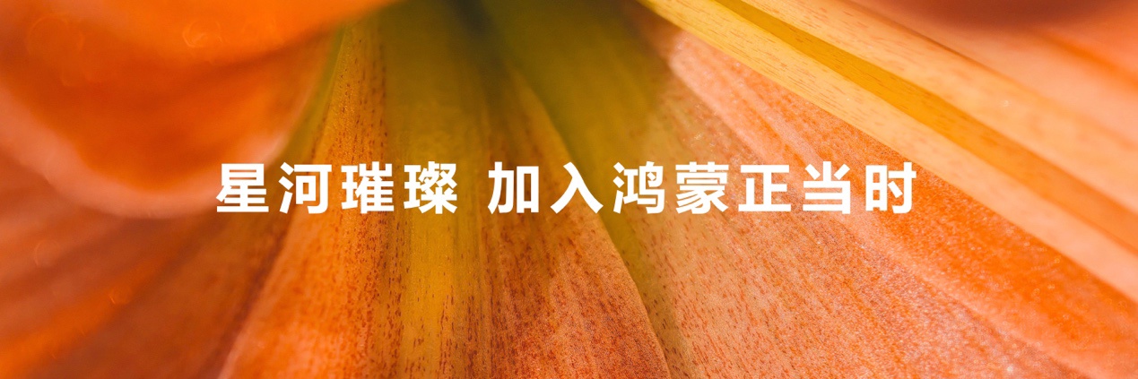 背景图案中度可信度描述已自动生成