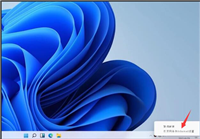 怎么找回 Win11网络适配器的驱动程序?