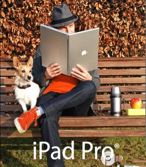 ipad pro屏幕有多大?ipad pro屏幕尺寸